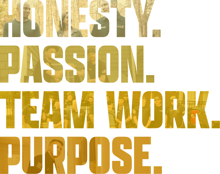 Trust 1 core values