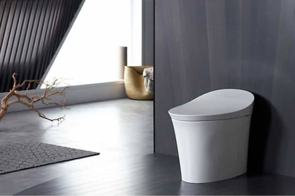 Best Quincy Toilets For Your Home In 2020