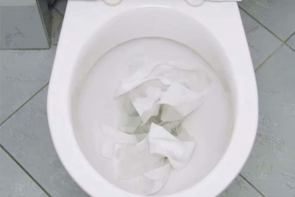 No Plunger No Problem Weymouth Clogged Toilet