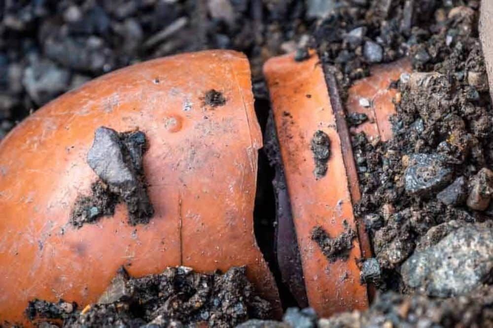 Warning Signs Is It Time To Get A Sewer Repair