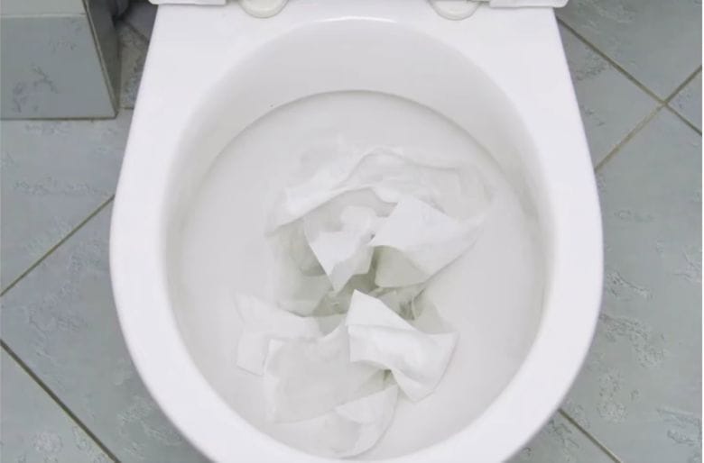 No Plunger, No problem – Weymouth Clogged Toilet - Trust 1 Services